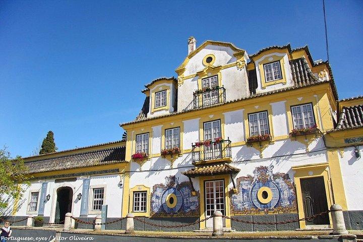 Transfer privado: Aeroporto de Lisboa Sesimbra e Setubal