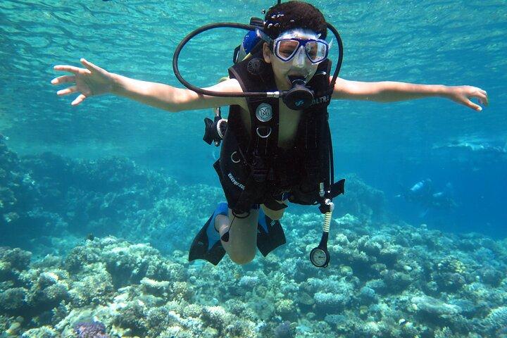 Viagem de barco para mergulho e snorkeling na Ilha Tiran Sharm El Sheikh