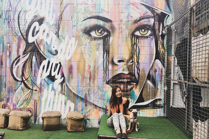 Private Budapest Street Art Tour mit lokalem Experten