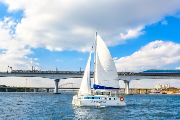 Private Catamaran Yacht Tour in Han River