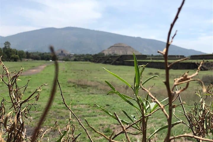 Teotihuacan & Basilica of Guadalupe - Private Tour