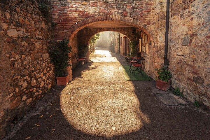 Excursion à Livourne: visite privée de Bolgheri et Supertuscan