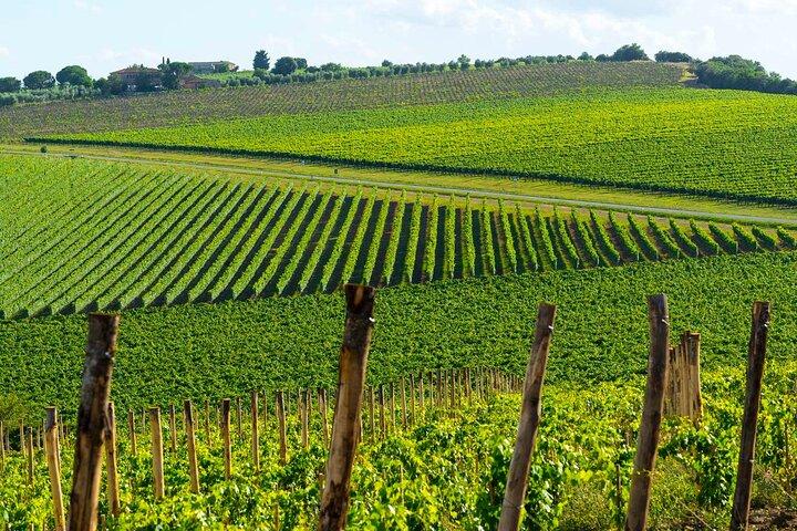 The Grand Wine Tour – 2 vinícolas com Chianti e SuperTuscan