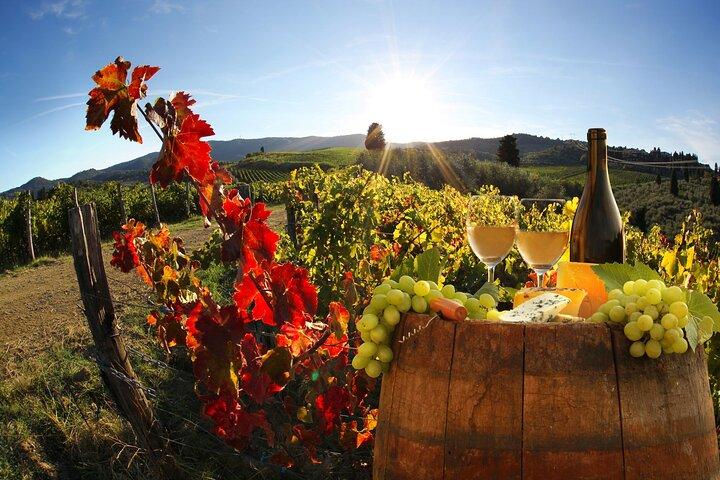 The Grand Wine Tour – 2 vinícolas com Chianti e SuperTuscan