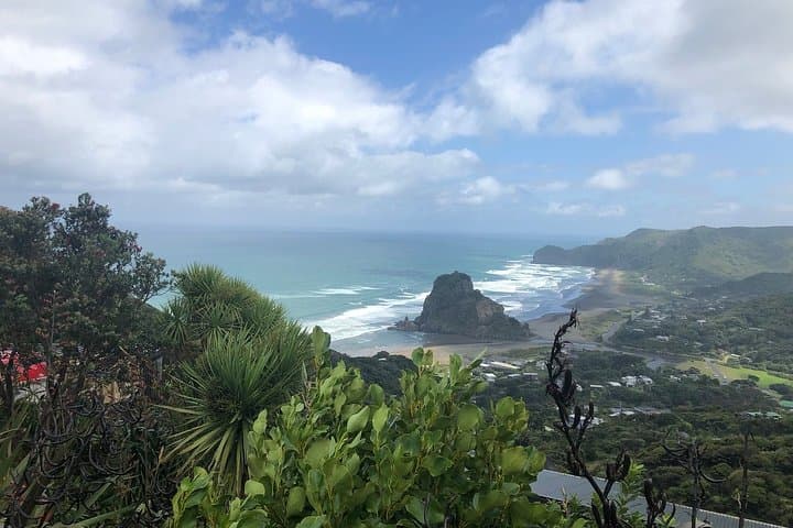 Piha Waitakere Rainforest Wine Tour from Auckland