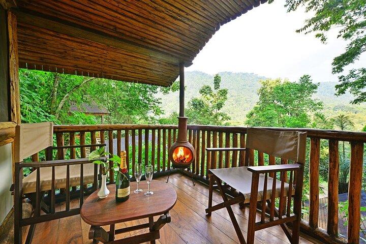 Explorador privado de 6 dias de primatas em Uganda