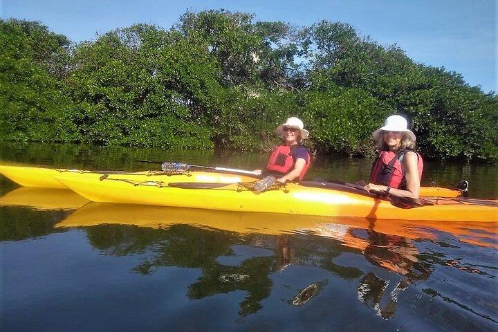 Cartagena In Kayak