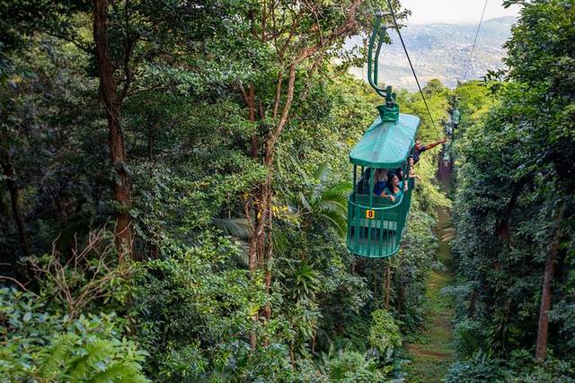 Rainforest Tram