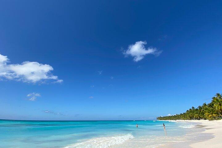 Visite privée d'une journée à Saona au départ de Punta Cana