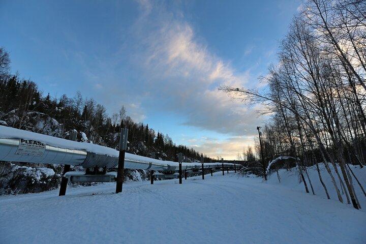 Fairbanks Herbst / Winter Stadtrundfahrt