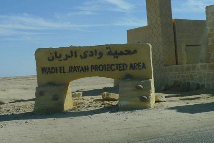 Dagstur till El Fayoum från Kairo