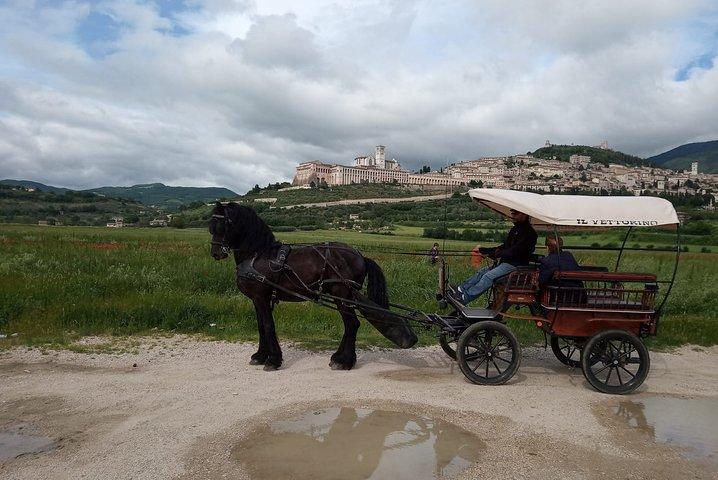 Tour la strada dei vini