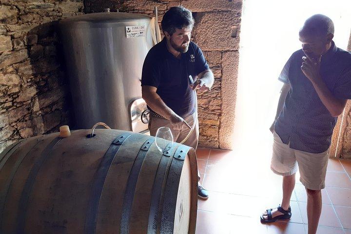 Dourovallei privétour met sommelier