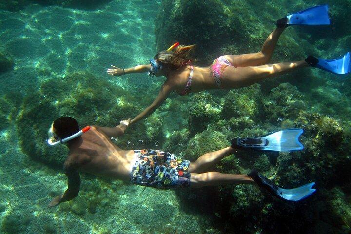 Tour in gommone per esplorare l' Area Marina Protetta di Tavolara