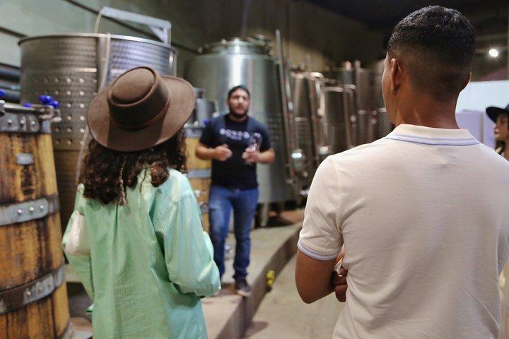 Dégustation de 5 vins et visite à la cave Rondo del Valle