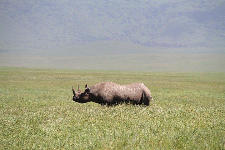 6-daagse Big Five Magic Safari Tour