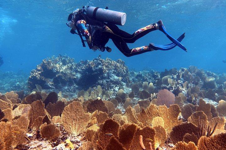 Aventura de catamarã de 5 dias e 4 noites nas Exumas