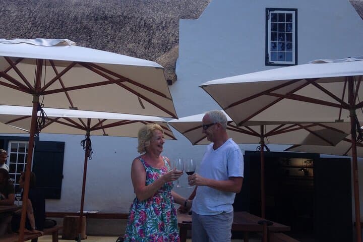 Full-Day Constantia Wine Tour from Cape Town