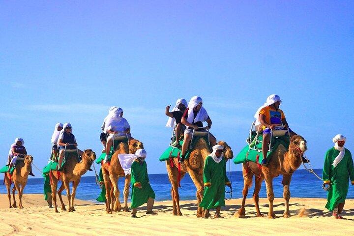 Cabo Camel und Safari Ride