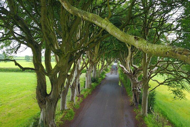 Hele dag privé Giant's Causeway-ervaring