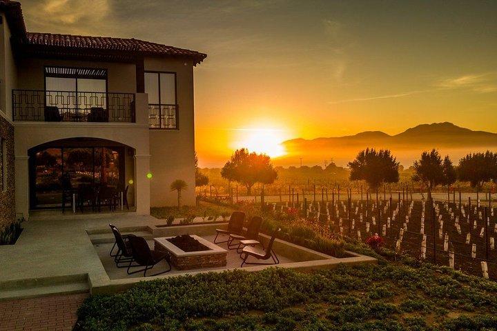 Tour premium del vino e dei vigneti della Valle de Guadalupe
