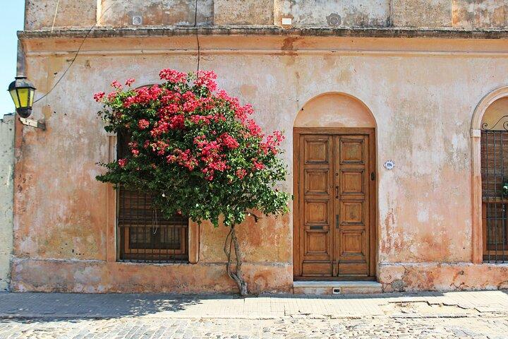 Forkæl dig selv med en privat dagsoplevelse til Colonia del Sacramento!