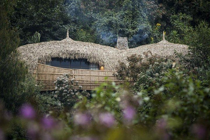 Excursão privada de safári privado de 11 dias em Uganda e Ruanda