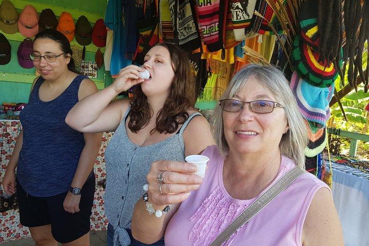 St Lucia Nordtour : Taubeninsel, Marigot Bay & Rum Stop