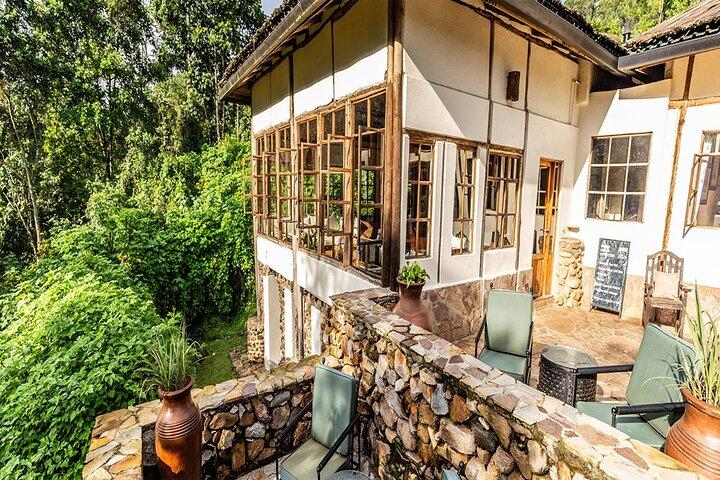Excursão privada de 5 dias em Bwindi, Lago Bunyonyi e Lago Mburo