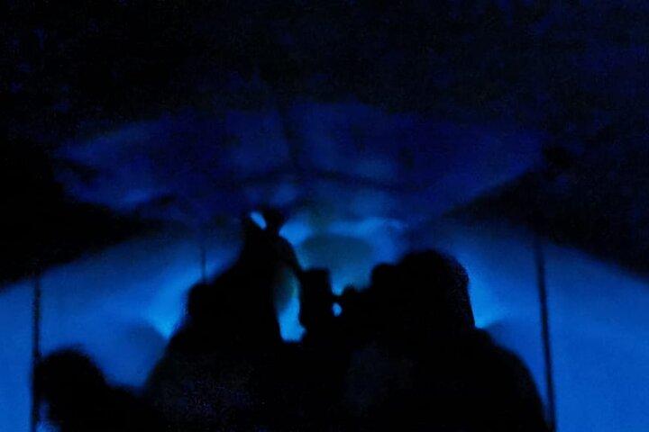 Bioluminescent natttur