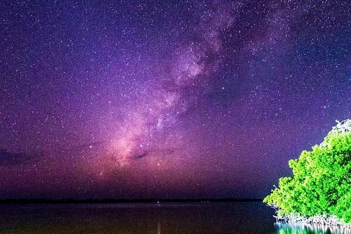 Bioluminescent natttur