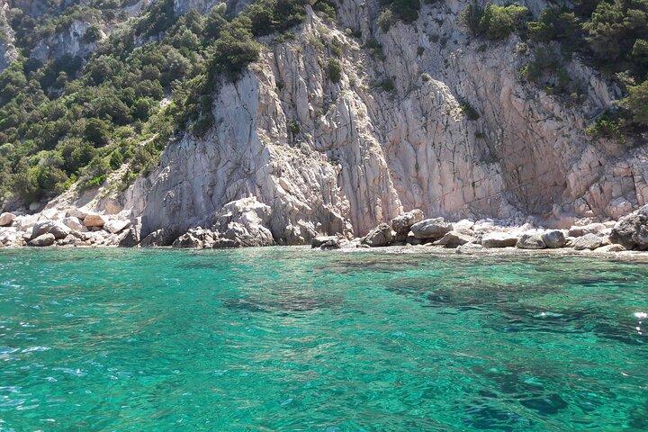 Tour in gommone per esplorare l' Area Marina Protetta di Tavolara