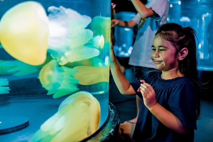 SEA LIFE Sydney Aquarium Entrance Ticket