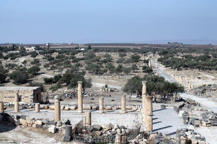 De Amã ao Norte (umm qais, Jerash e ajloun)