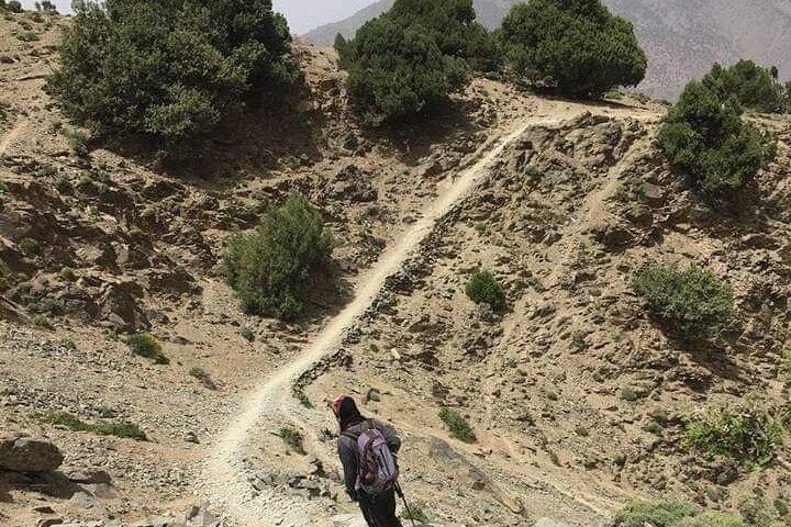 2 Dias Atlas Mountains Trek, dois vales e aldeias berberes