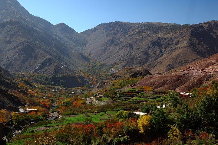 Day trek in Imlil valley with lunch in berber house