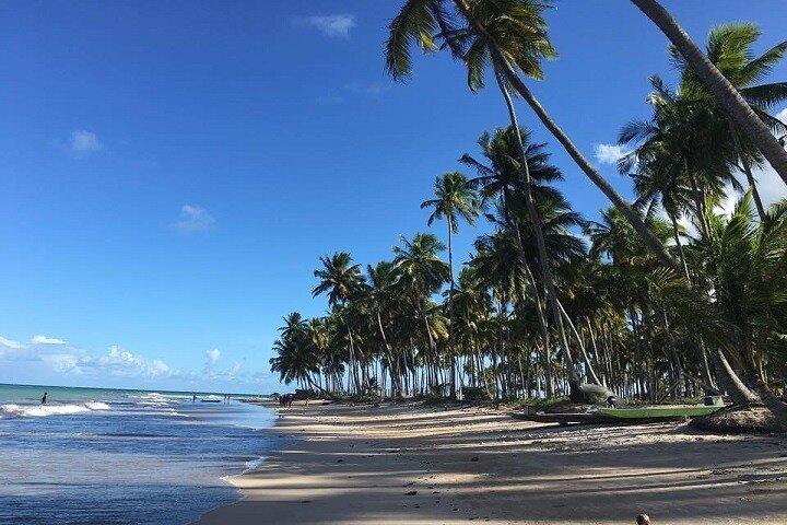 Carneiros Beach Tour ab Porto de Galinhas