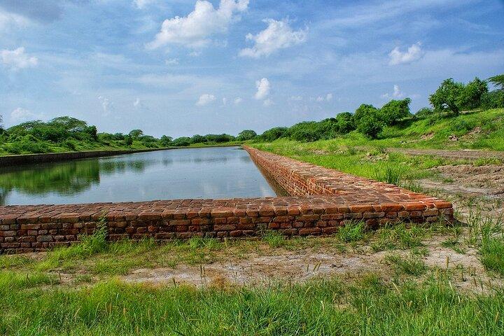Esplora Lothal e Uthellya da Ahmedabad con pranzo