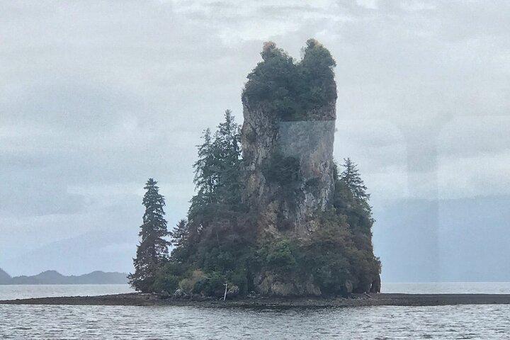 Elite & Private Whales & Wildlife Excursion Ketchikan Alaska
