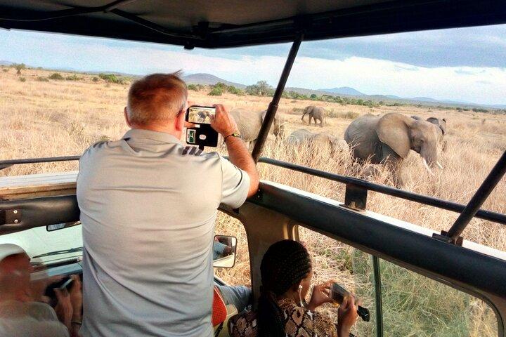 Kilimahewa safari fuld og rigtig vild