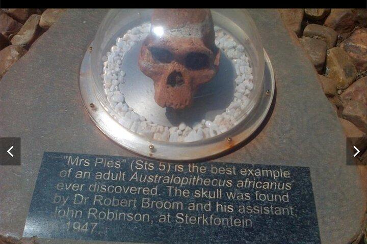 Maropeng Culla del genere umano Museum & Sterkfontein Cave Experience