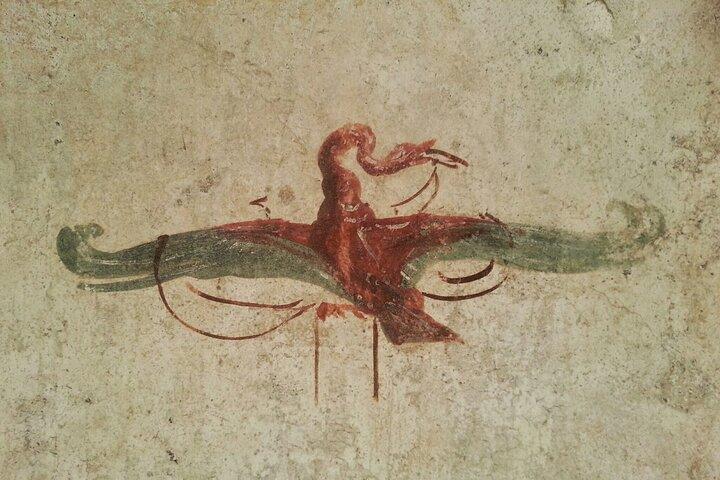 Amazing Private Pompeii & Herculaneum | Guia, Transporte, Bilhetes