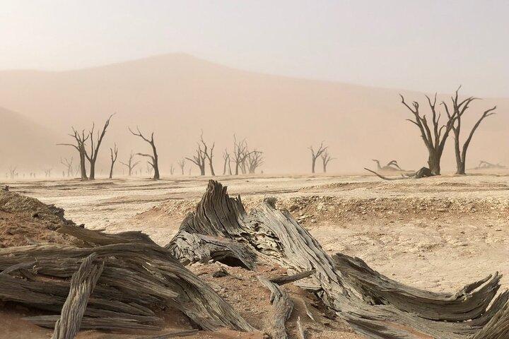 3-dagars Namibia Desert Camping Tour från Windhoek