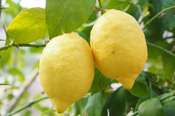 Make a Fried Pizza with Limoncello Spritz in Sorrento