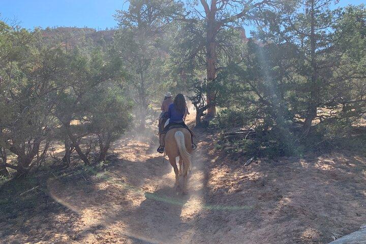 Ruby's Horseback Adventures Utah halvdagstur