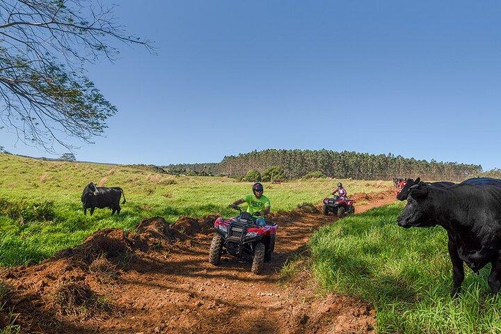 Umauma Falls Deluxe ATV Cascate ed esperienza di nuoto