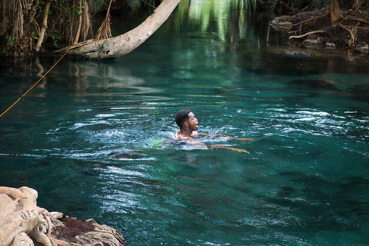 MATERUNI vattenfall, coffe tour & kikuletwa hotsprings