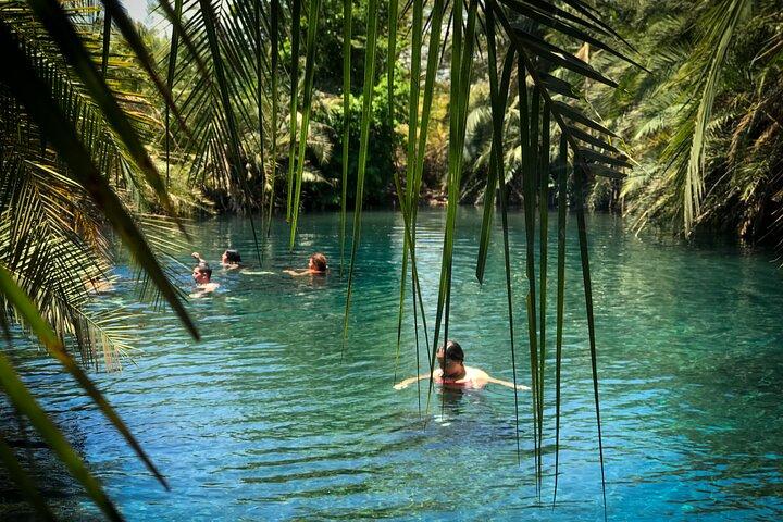 MATERUNI vattenfall, coffe tour & kikuletwa hotsprings