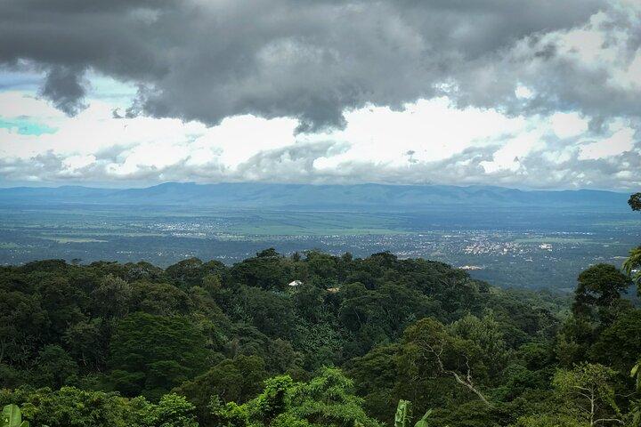 MATERUNI vattenfall, coffe tour & kikuletwa hotsprings