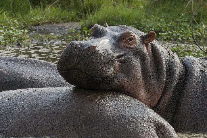 8 días de lujo Serena Safari